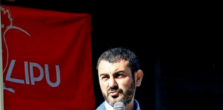 Fulvio Mamone Capria