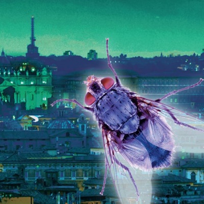 La-fuga-degli-insonni_copertina-1-980x540