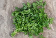 Un primo piatto a base di gambi di prezzemolo? I fusilli al pesto di gambi ti stupiranno!